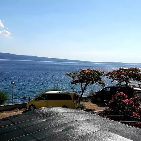 Mateo ドゥギ・ラット